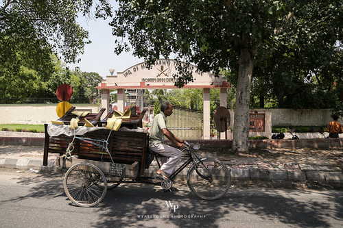 New Delhi, India 돌잔치, 돌스냅